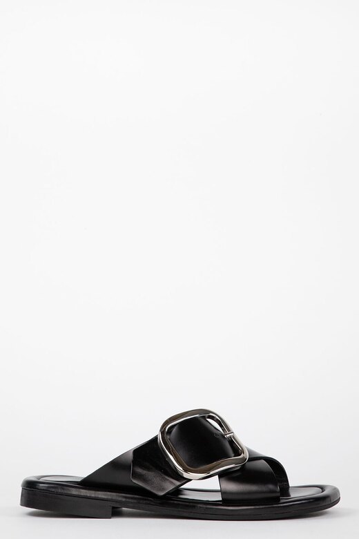 Homers dalia Black