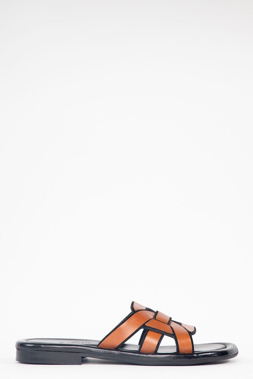 Homers dalia Sella-Black