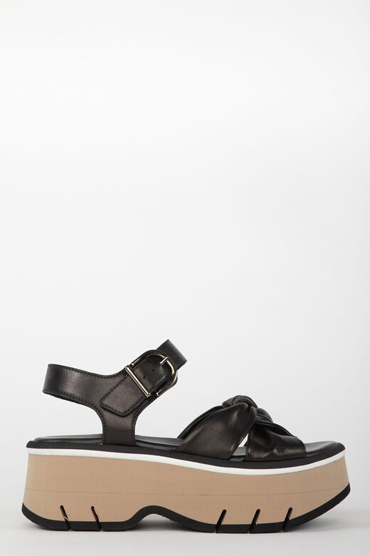 Homers Lucia Black