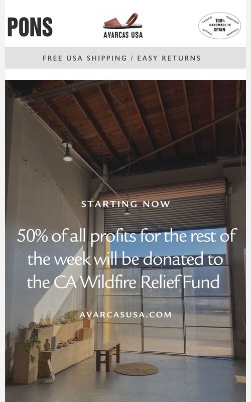 Avarcas USA newsletter from January 16, 2025